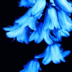 Meet your Posher, Nora